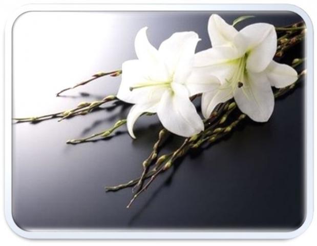 Ghislaine Lusignan Sabourin