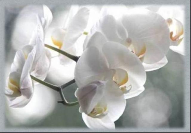 Monique Ranger Charbonneau